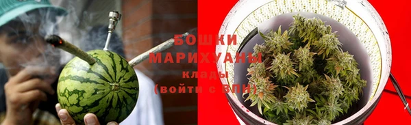 гидра Гусев