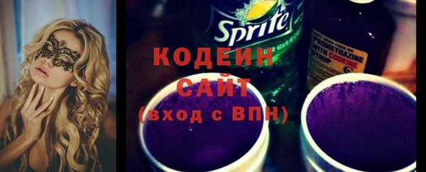 гидра Гусев