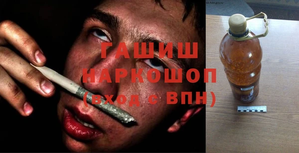 гидра Гусев