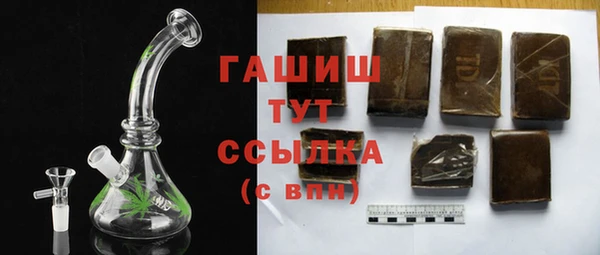 гидра Гусев