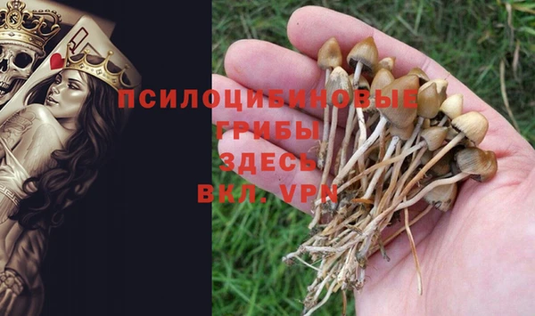 гидра Гусев