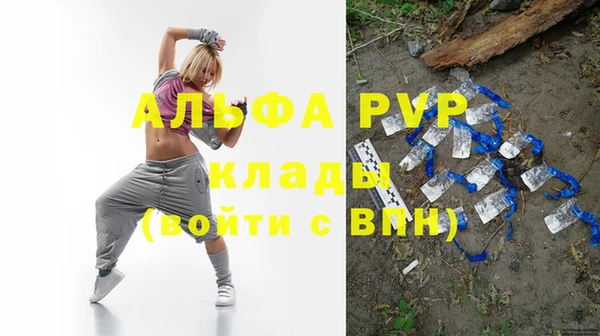 гидра Гусев