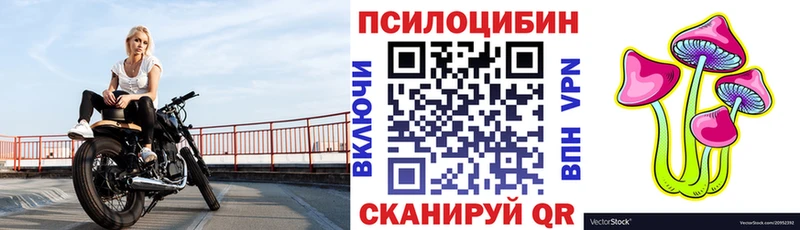 где продают   ОМГ ОМГ онион  Галлюциногенные грибы Cubensis  Ирбит 